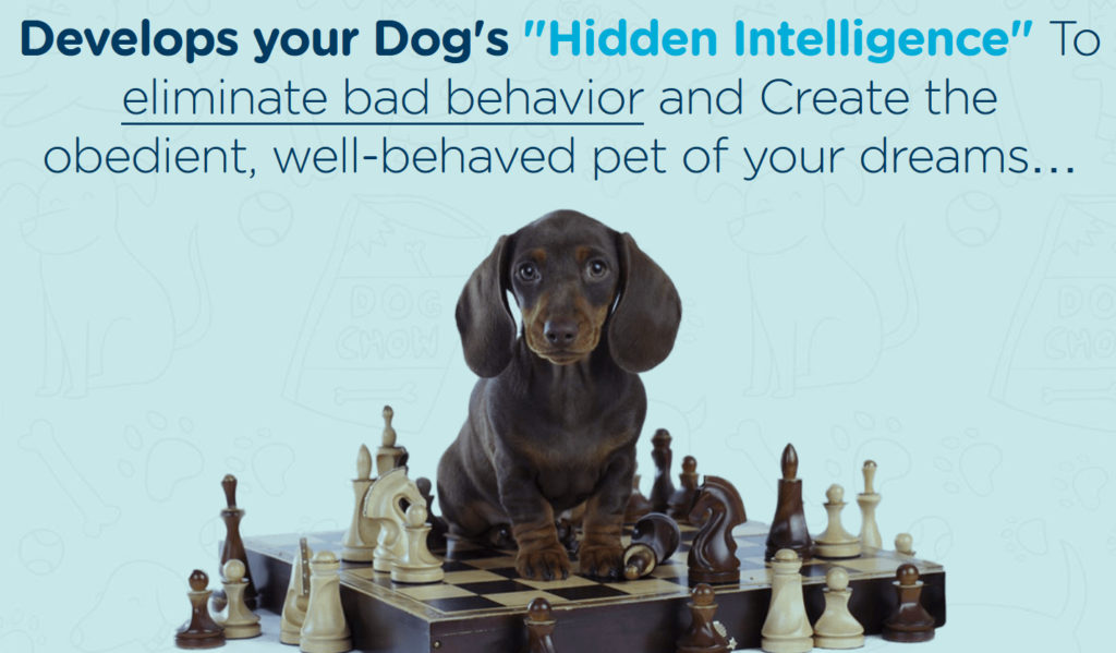 Brain Training for Dogs