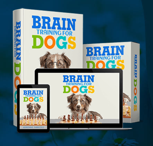 Brain Training for Dogs