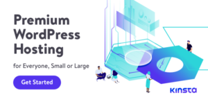 Kinsta Premium Hosting