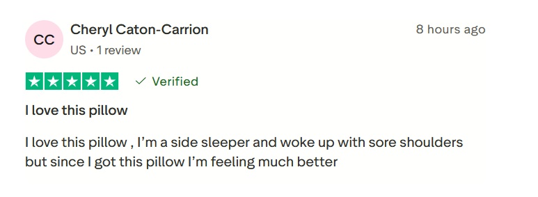 Derila Ergo Pillow Trustpilot 2